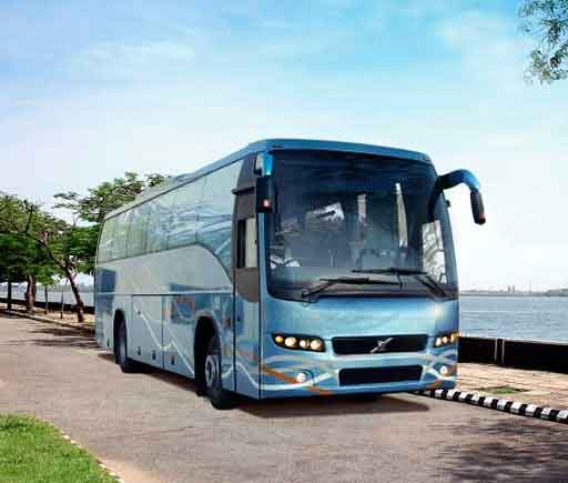Bus