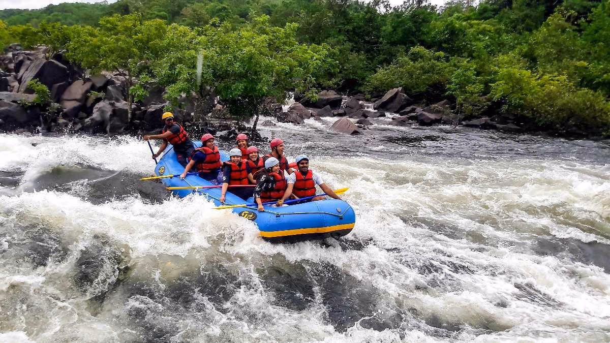 Kabini & Dandeli Wildlife Safari Guide: Best Time, Permits & Packages